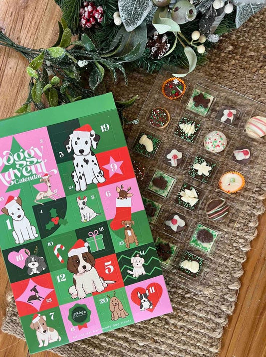 Paws for Change Advent Calendar