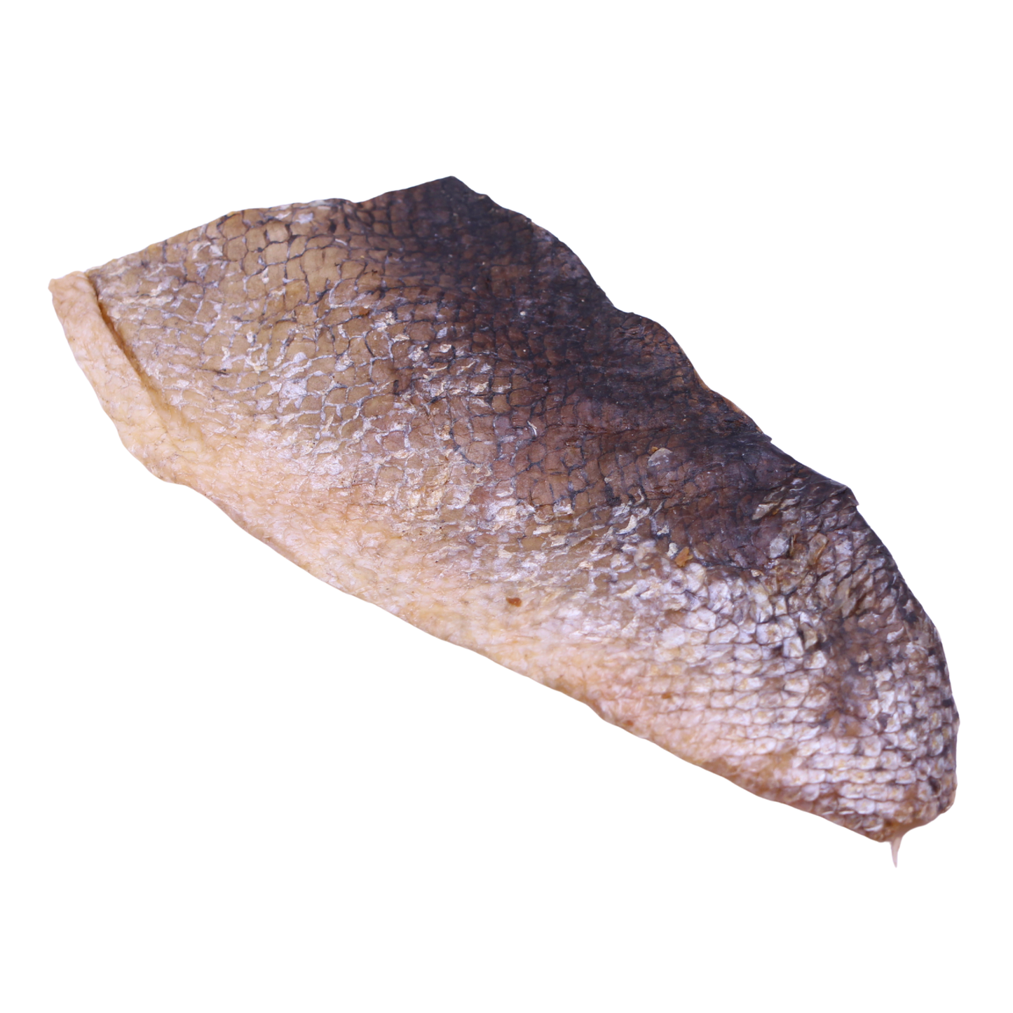 Salmon Skin