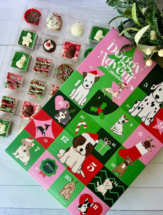 Paws for Change Advent Calendar