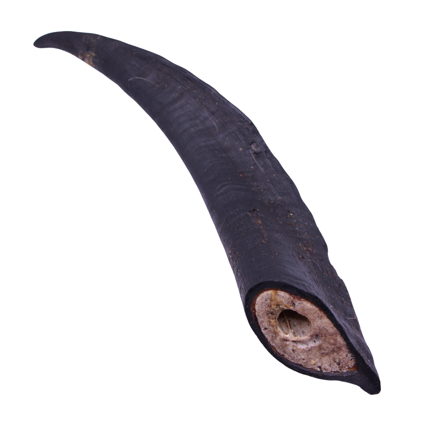 Goat Horn