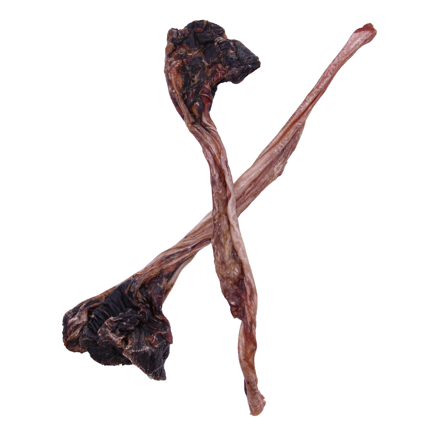 Kangaroo Tendons